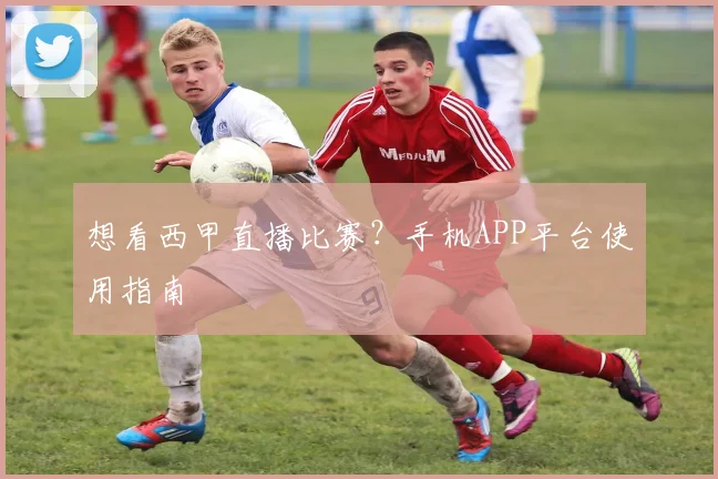想看西甲直播比赛？手机APP平台使用指南