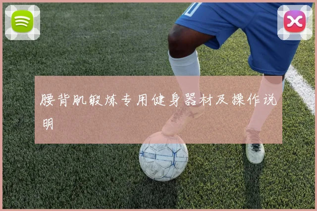 腰背肌锻炼专用健身器材及操作说明