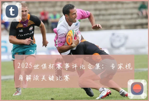 2025世俱杯赛事评论合集：专家视角解读关键比赛